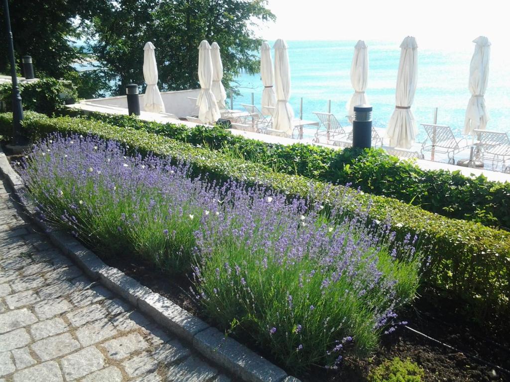 Oasis Boutique Hotel, Riviera Holiday Club Golden Sands Exterior foto